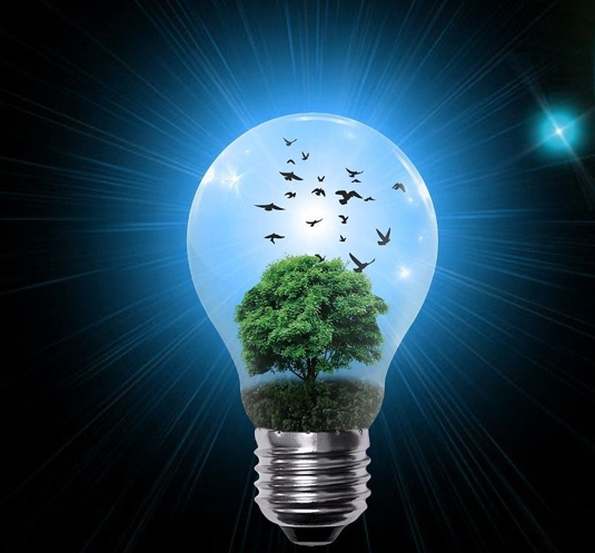 A large light bulb with rays extending out from a light source in the light bulb into a completely black background beyond the glass, and the light bulb has a full tree growing inside and the silhouettes of birds flying out of the tree into a sky.