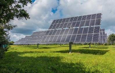 Rows of rotating sun panels in a rectangular configuration elevated on poles in the ground capture the sunlight and cast shadows on the grass behind them in a small clearing surrounding by short brush.
