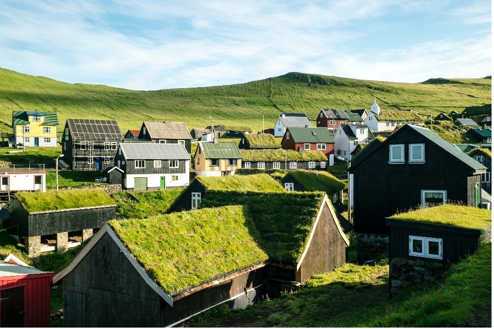 Residential houses with grass on their roofs and some using solar panels.